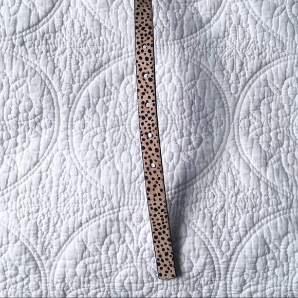 Last one! Express Leopard Calf Hair Belt - Picture 3 of 7